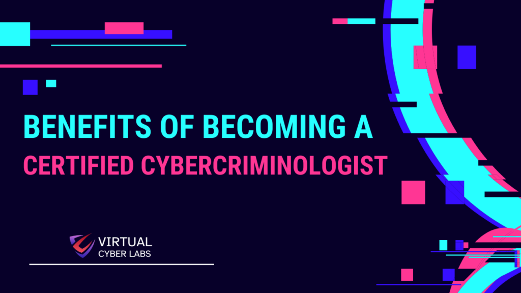 cyber criminologist